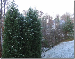 NovSnow